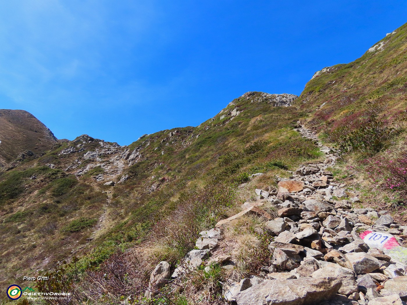 38 In arrivo sul sent. 101 alla Forcella Rossa (2055 m) .JPG